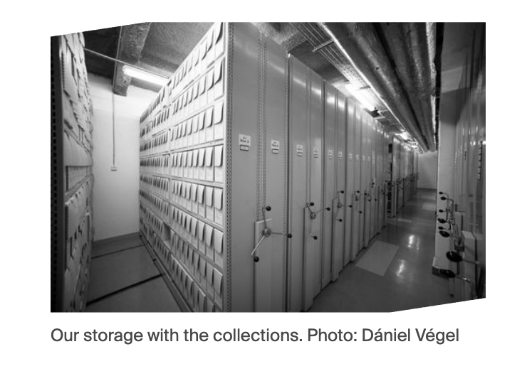 An Image component showing an archival storage photograph with its caption